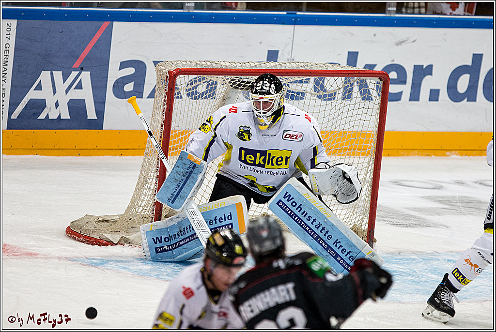 Koelner Haie - Krefelder Pinguine, 22.11.2016